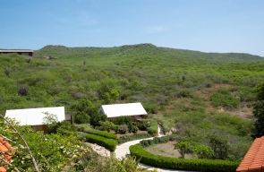 The Natural Curacao Room Uitzicht