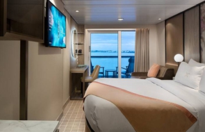 Swingers Cruise Jamaica 2023 Aqua Stateroom